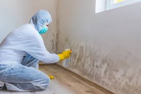 Best Mold Remediation for Healthcare Facilities  in Torrington, CT